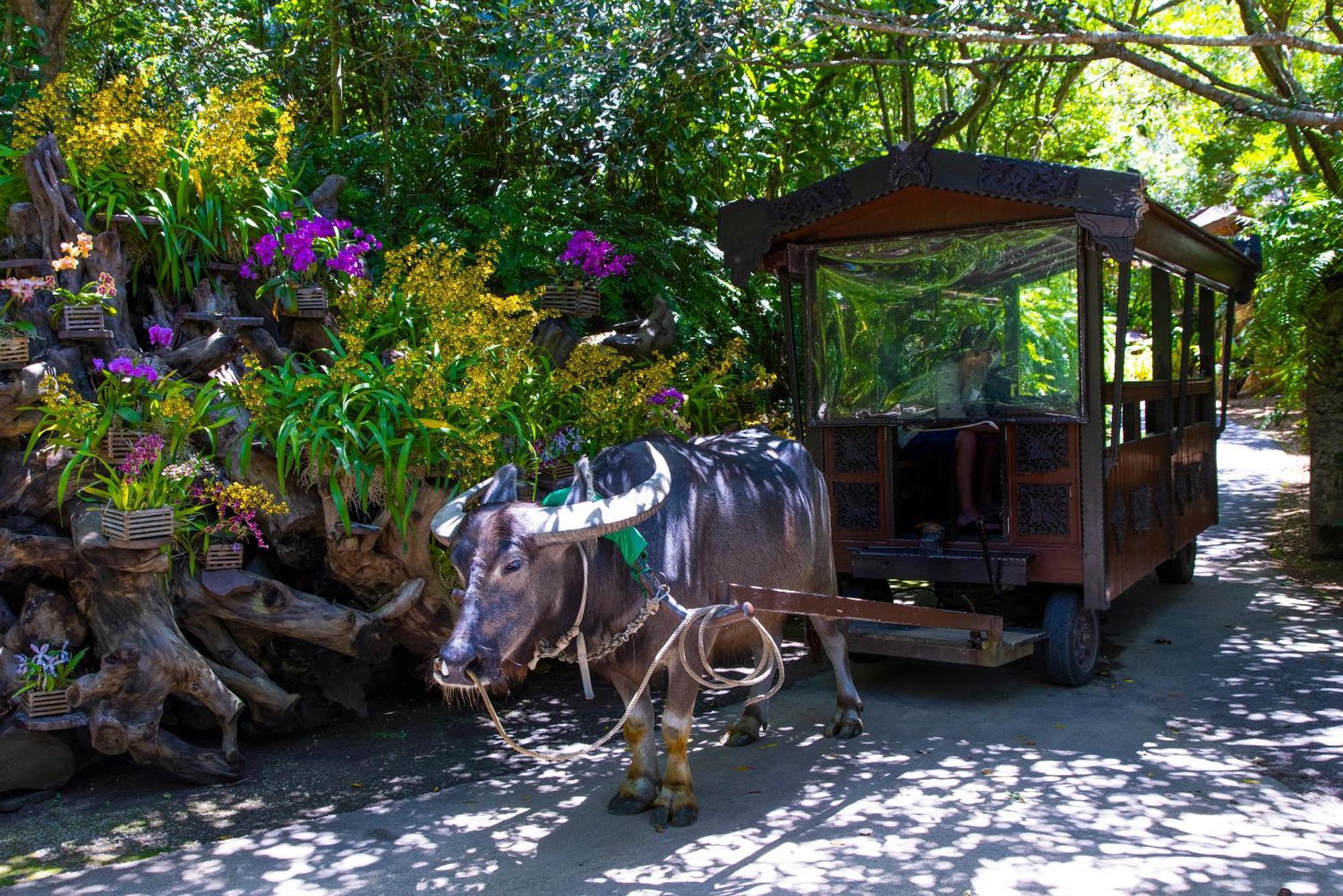 新規オープン サウナ Bbq ジャグジー付き 最大7名 無料駐車場4台 ビーチまで車で5分 Sky House Villa Uruma Eksteriør billede